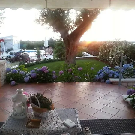 Vila Anamarija - Nearby Porec